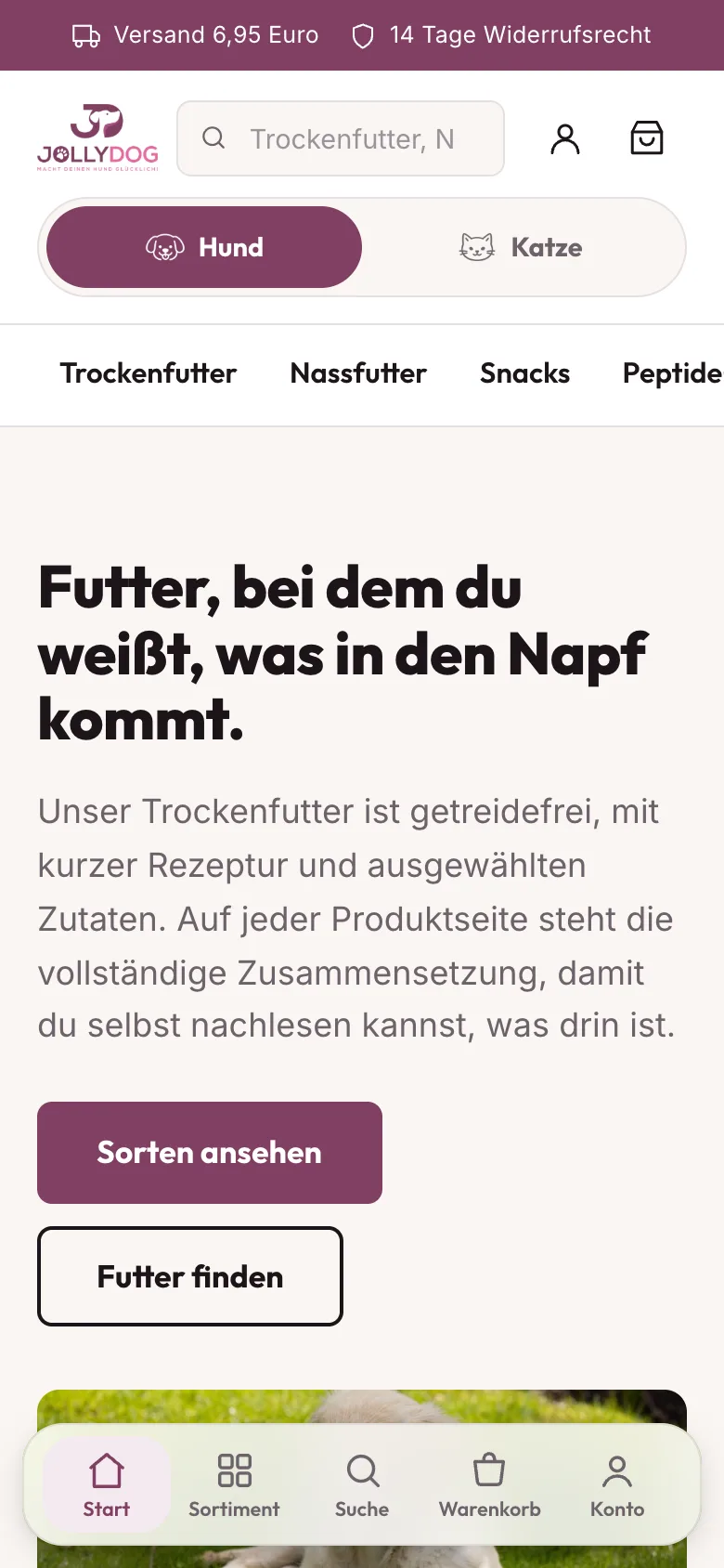 jollydog.de auf dem Handy